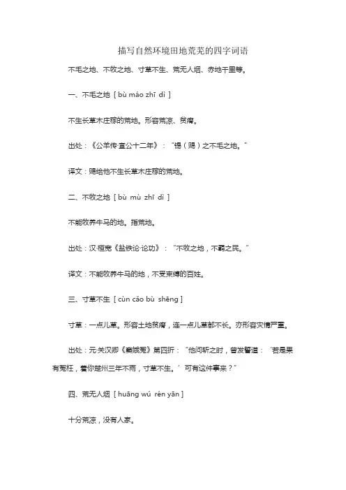 描写自然环境田地荒芜的四字词语