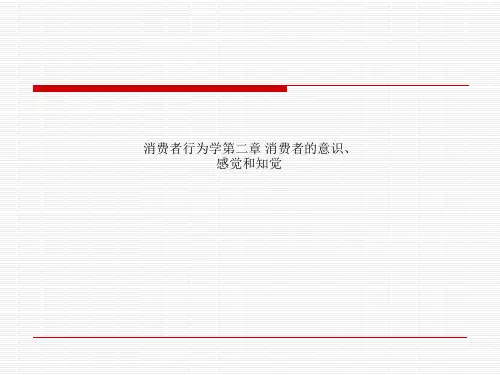消费者行为学第二章 消费者的意识、感觉和知觉