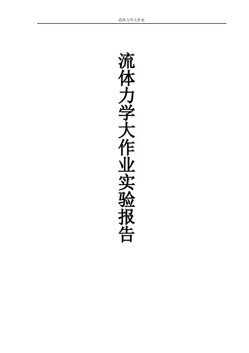 流体力学大作业实验报告