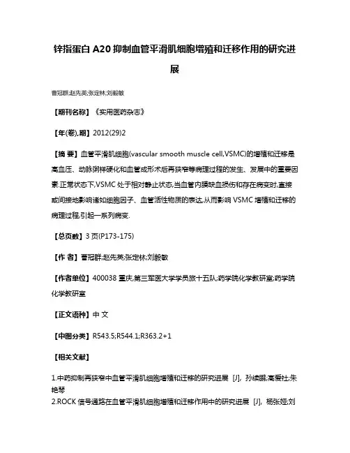 锌指蛋白A20抑制血管平滑肌细胞增殖和迁移作用的研究进展