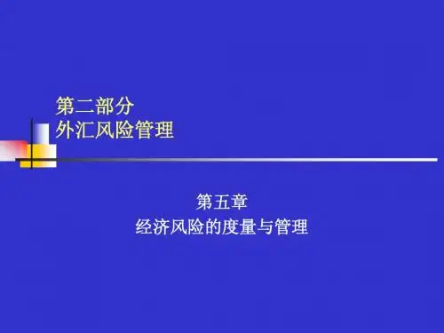 外汇风险的度量与管理