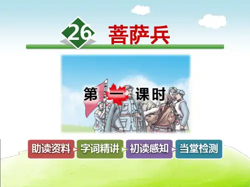 《菩萨兵》 ppt优秀课件