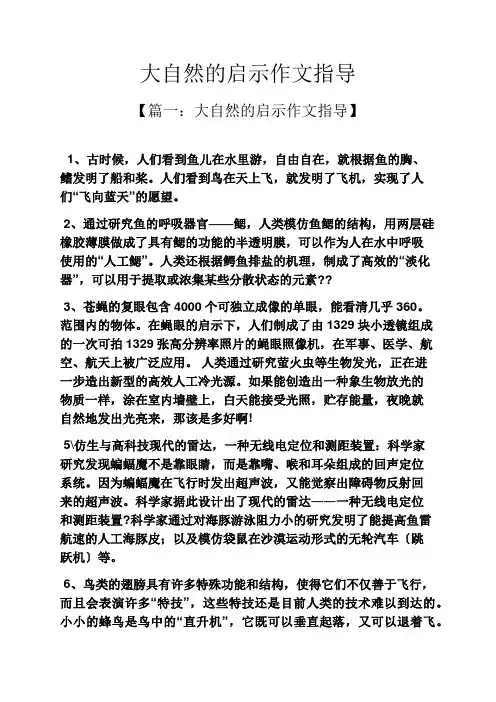 大自然作文之大自然的启示作文指导