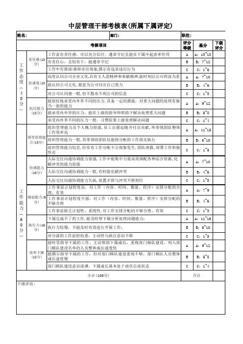 中层管理干部考核表