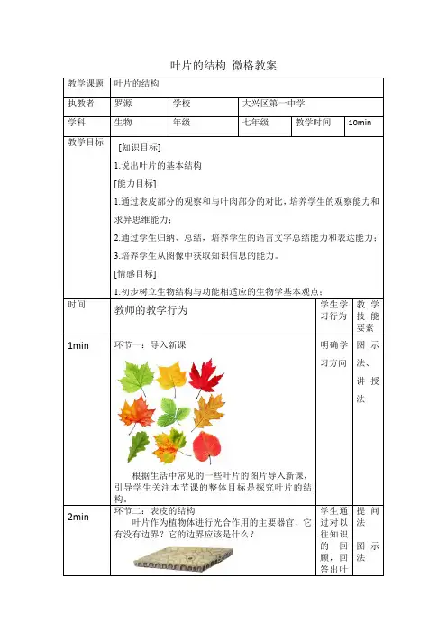 叶片的结构 微格教案