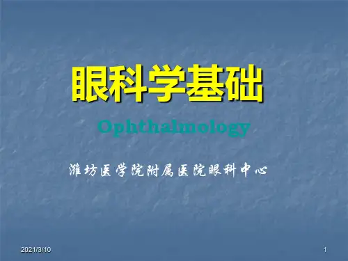 眼科学基础教学课件.ppt