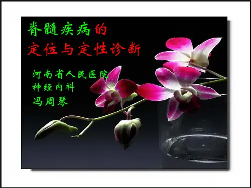 脊髓疾病的定位与定性诊断(脊髓康复学习班课件)