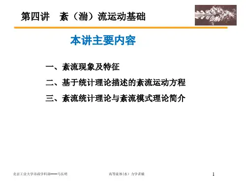 高等流体力学-第四讲