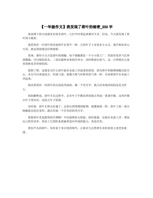 【一年级作文】我发现了荷叶的秘密_550字