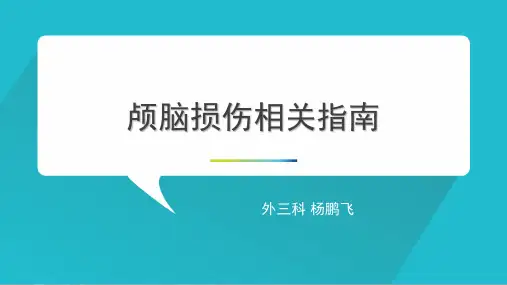 颅脑损伤指南