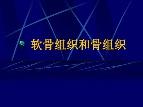 软骨组织和骨组织〖精品课件〗