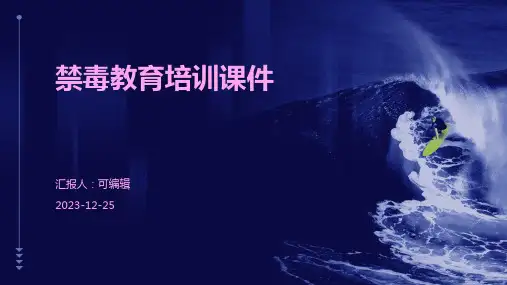 禁毒教育培训课件ppt