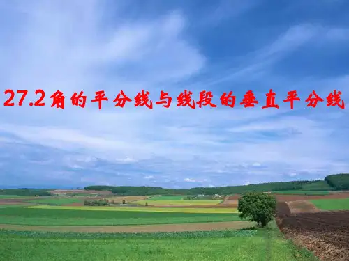 角平分线和线段垂直平分线(新编201912)