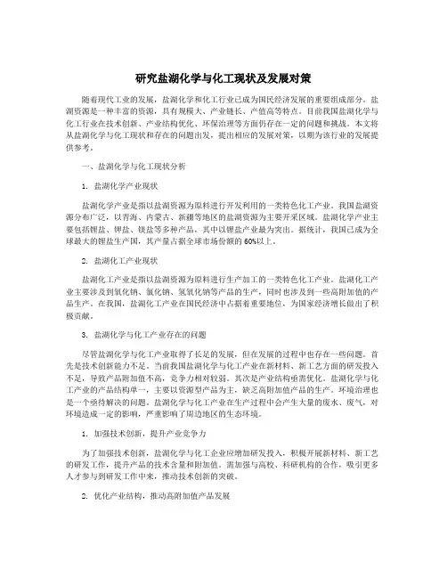 研究盐湖化学与化工现状及发展对策