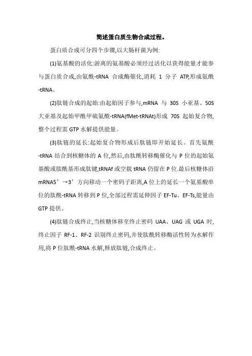 简述蛋白质生物合成过程。