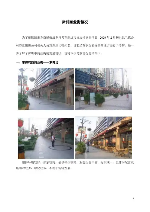 深圳商业街市场调研
