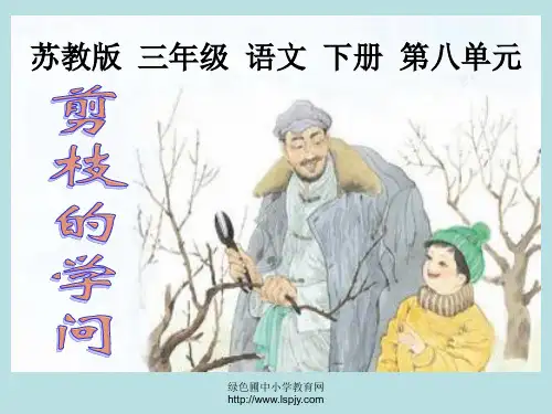 苏教版三年级下册语文《剪枝的学问》课件PPT