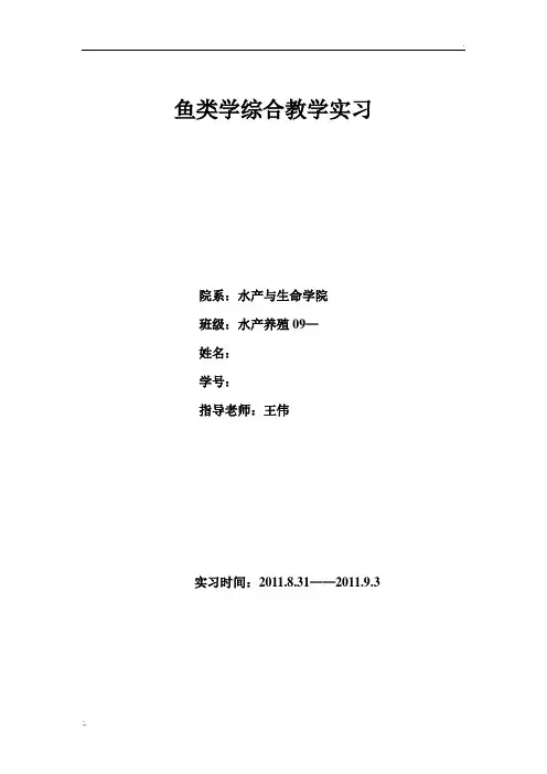 鱼类学综合教学实习报告模板