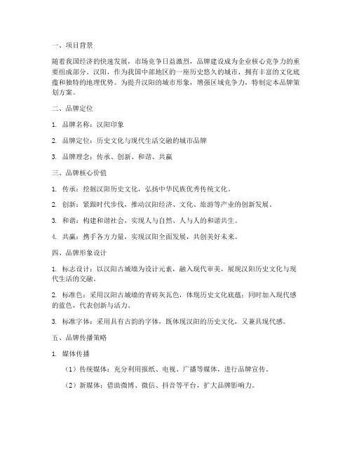 汉阳新品牌策划方案案例