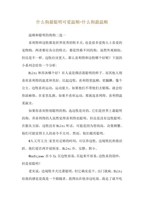 什么狗最聪明可爱温顺-什么狗最温顺