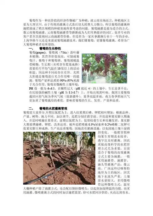 云南葡萄滴灌技术指南