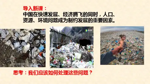 人教版道德与法治九年级上册正视发展挑战教学课件