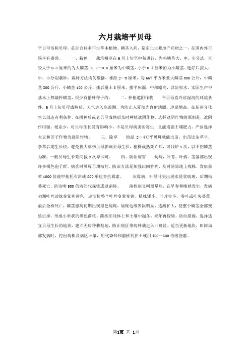 六月栽培平贝母