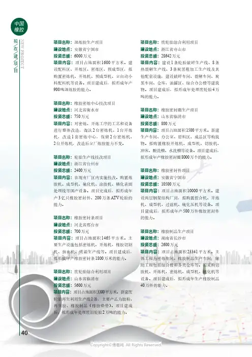拟在建项目