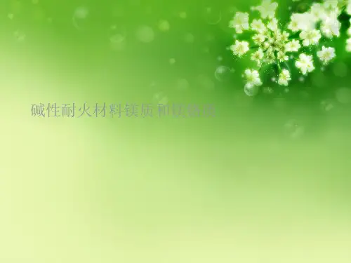 碱性耐火材料镁质和镁铬质优秀课件