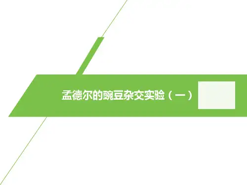 新高考人教版高中生物必修二 全册知识点背诵