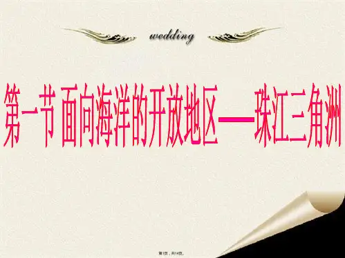 面向海洋的开放地区珠江三角洲(共14张PPT)