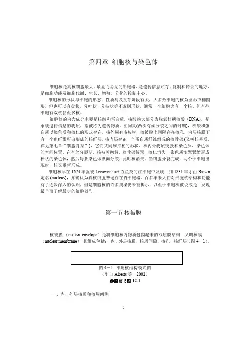 细胞核与染色体