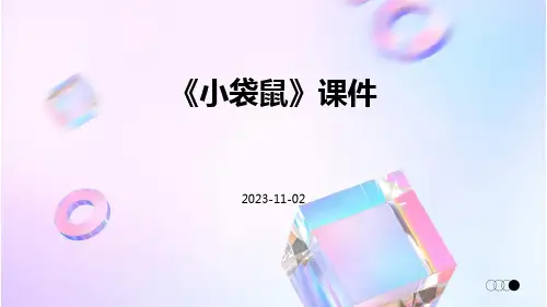 《小袋鼠》课件