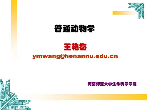 半索动物门(好)
