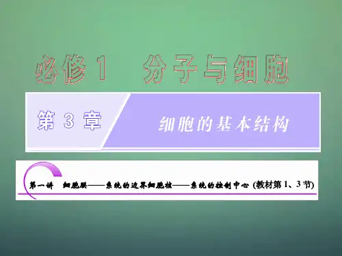细胞膜是系统的边界以及细胞核是系统的控制中心介绍PPT生物课件