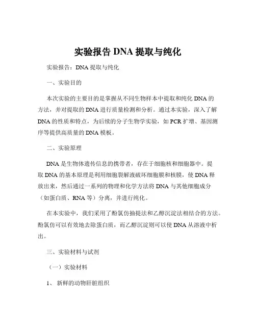实验报告DNA提取与纯化