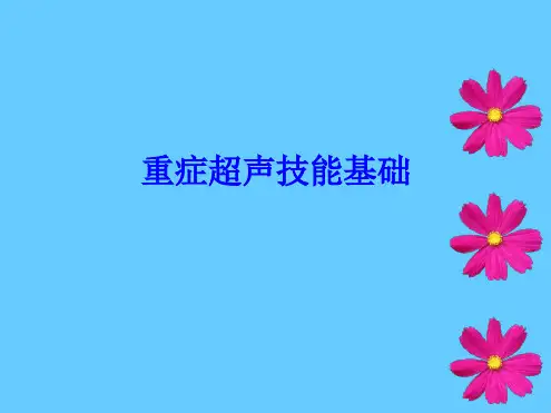 重症超声基础