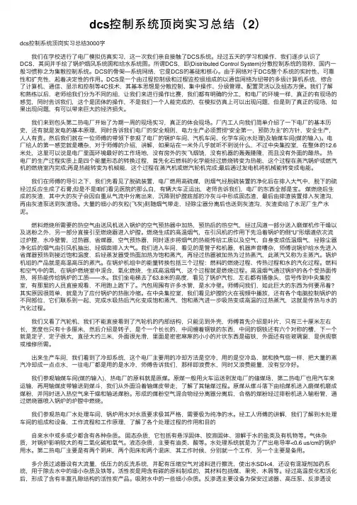 dcs控制系统顶岗实习总结（2）