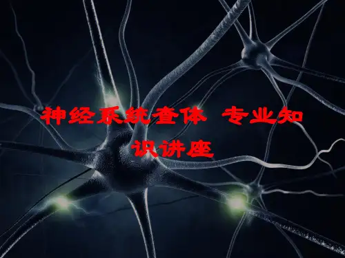 神经系统查体-专业知识讲座培训课件