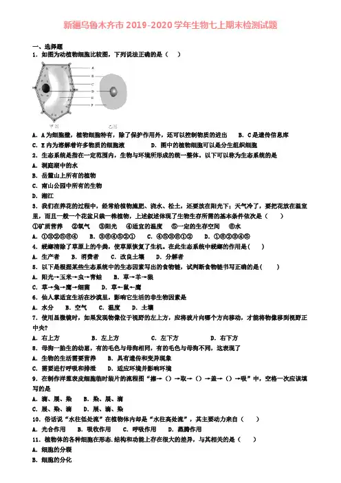 新疆乌鲁木齐市2019-2020学年生物七上期末检测试题
