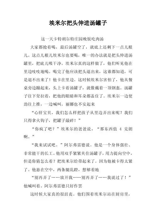埃米尔把头伸进汤罐子