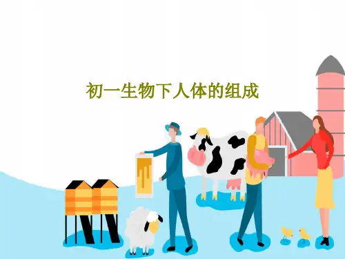 初一生物下人体的组成24页PPT