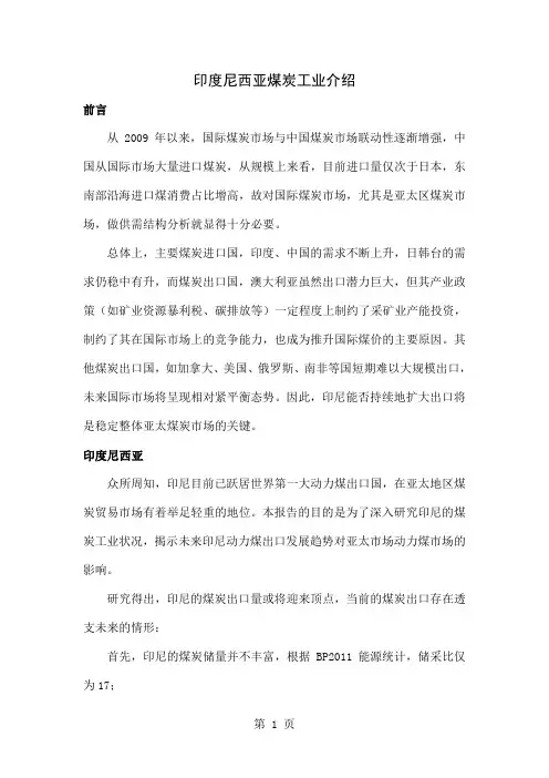 印度尼西亚煤炭工业介绍共16页word资料