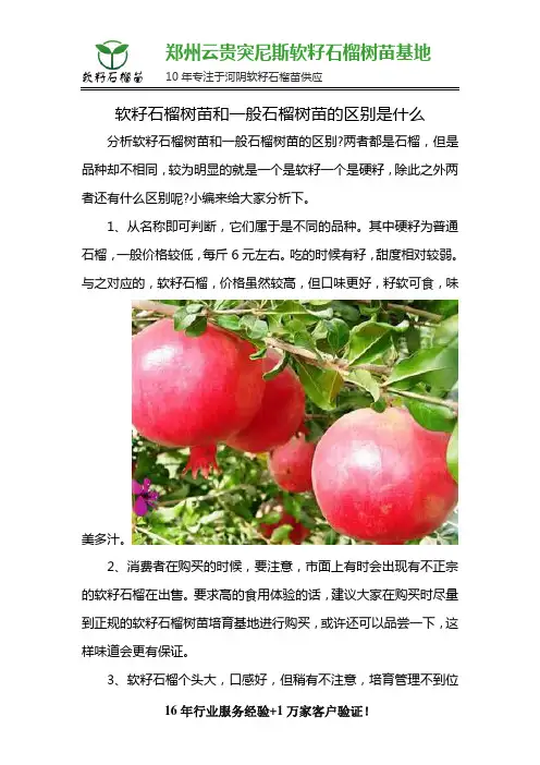 软籽石榴树苗和一般石榴树苗的区别是什么