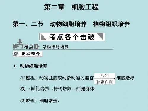 动物细胞培养、植物组织培养ppt 人教课标版