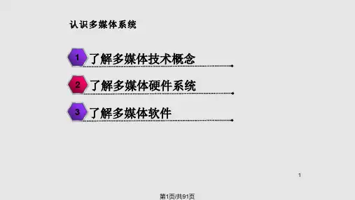 模块一走进多媒体世界PPT课件