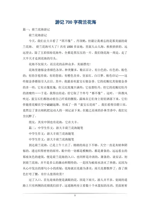 游记700字荷兰花海
