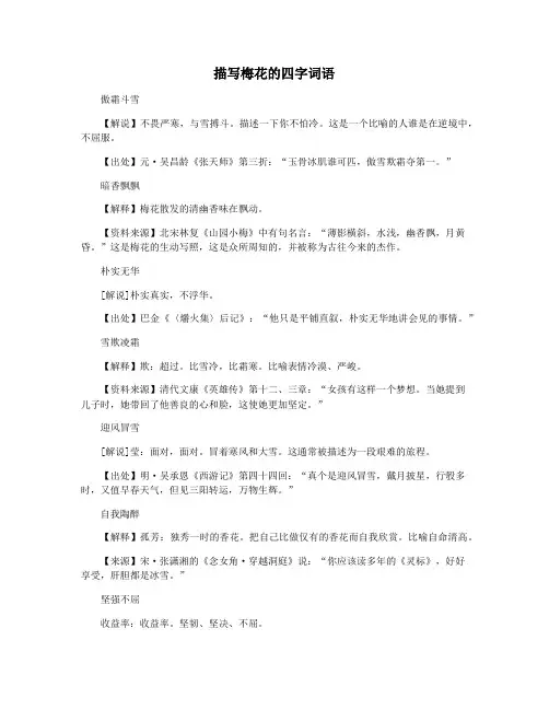 描写梅花的四字词语