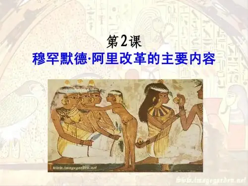 穆罕默德阿里的改革