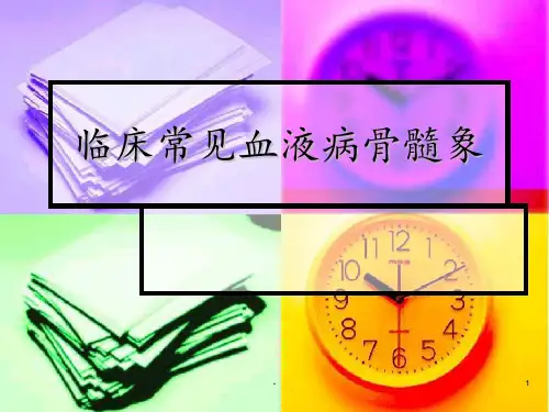 临床常见血液病骨髓象ppt课件